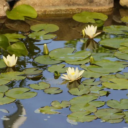 Apartamento Lovely In With Kitchen Lutow